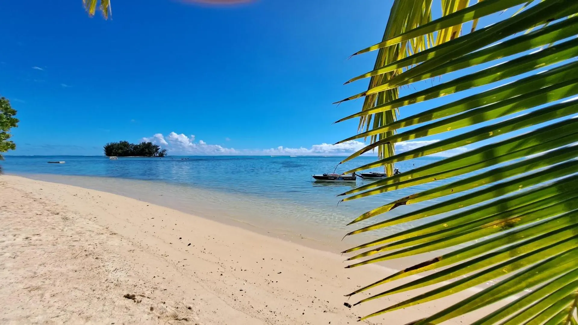 Moorea - Bungalow Fenua Hauru